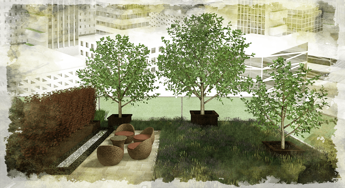 Green Roof Design | Green Culture Studio Landscape Design