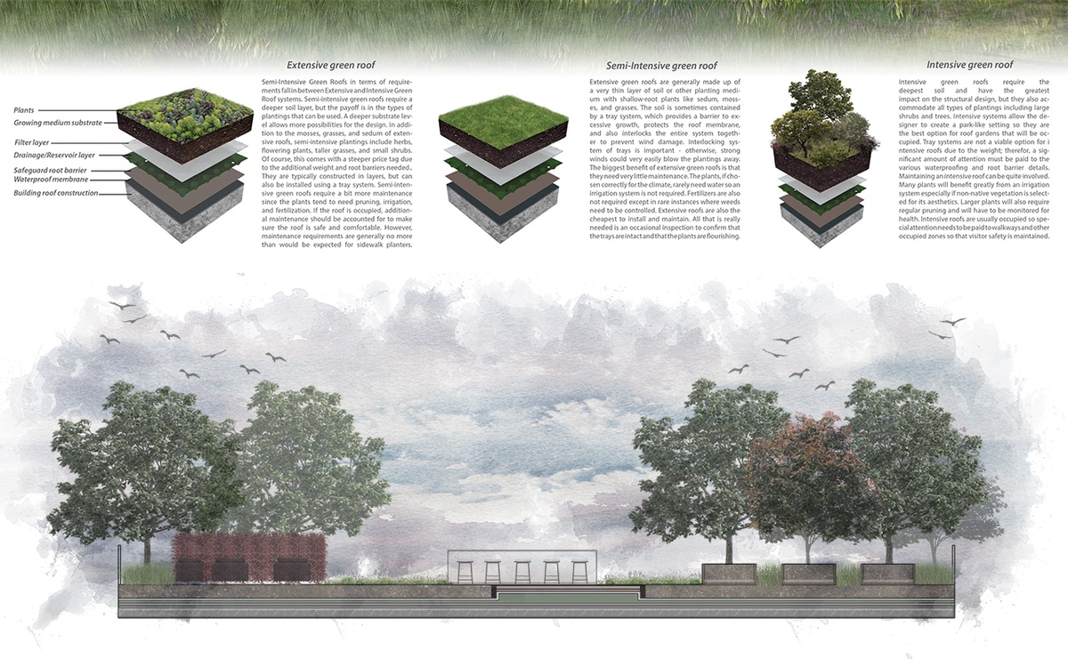 Green Roof Design | Green Culture Studio Landscape Design
